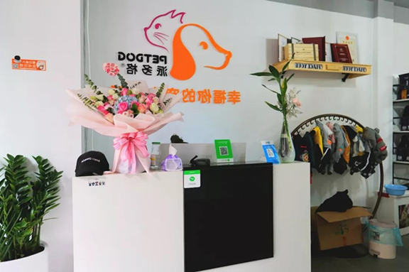 开宠物店需要投诉什么解决呢