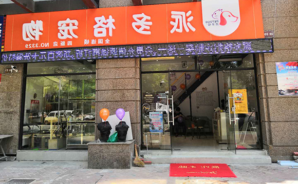 开宠物店学起来，开宠物店项目利润如何？