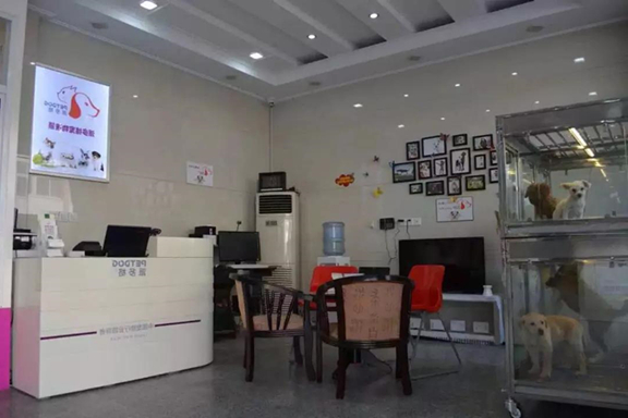 开宠物店学起来，开宠物店项目利润如何？