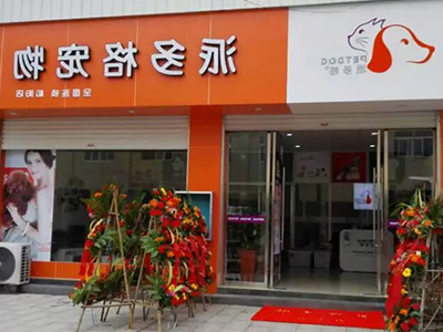 不会宠物美容训犬可以开宠物店吗？